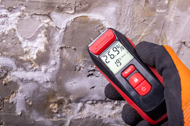 Best Commercial Mold Remediation in Henderson, NV