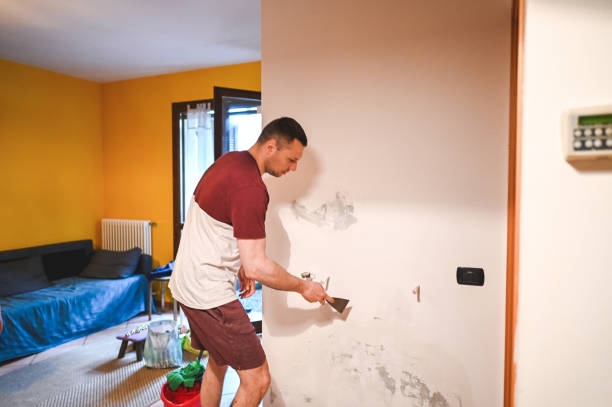 Best Bathroom Mold Remediation in Henderson, NV