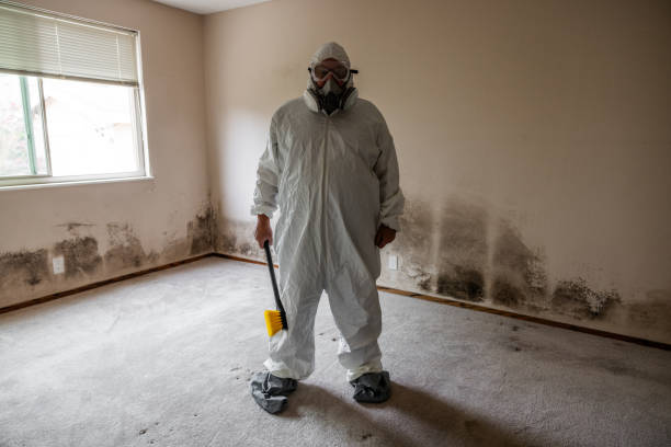 Best Mold Remediation for Specific Building Types in Henderson, NV